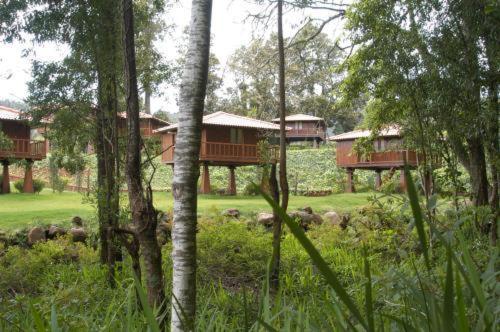 Vakantiepark Quinta Eiras Santo Antonio da Serra