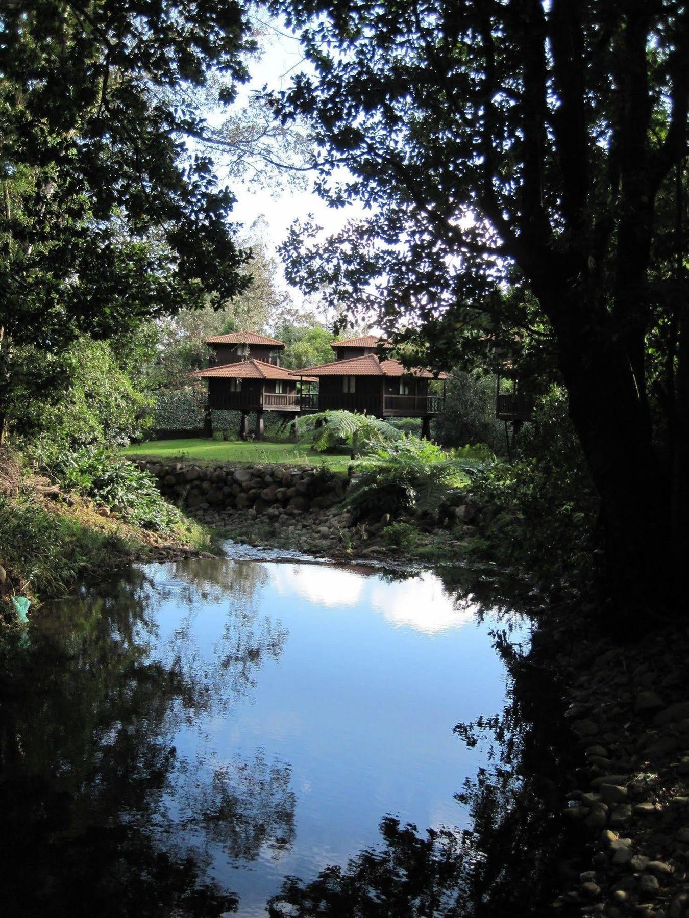 Vakantiepark Quinta Eiras